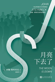 月亮下去了